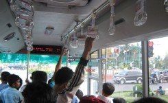 bus transmetro interior